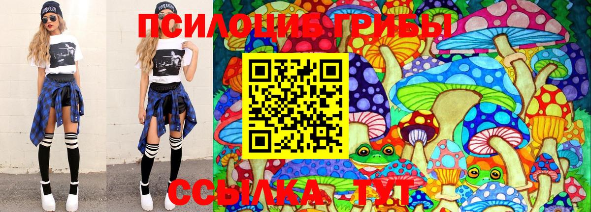 Псилоцибиновые грибы Cubensis  Псилоцибиновые грибы мухоморы  Зима  Вход с VPN 