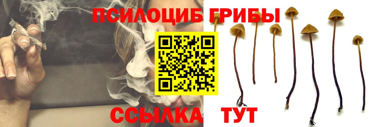 Псилоцибиновые грибы мухоморы Зима