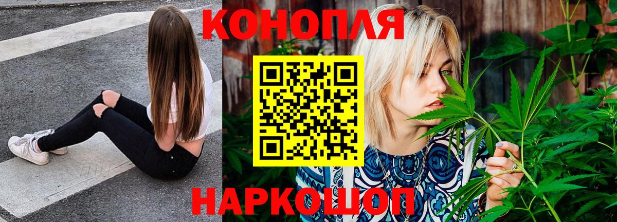 Каннабис гибрид  Каннабис AK-47  Вход с VPN  Каннабис план  Зима 